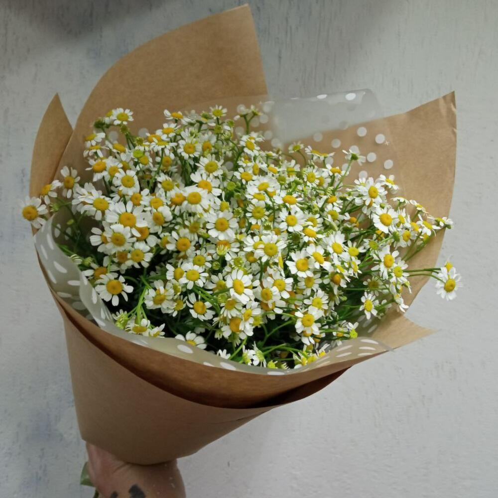 11 ромашек