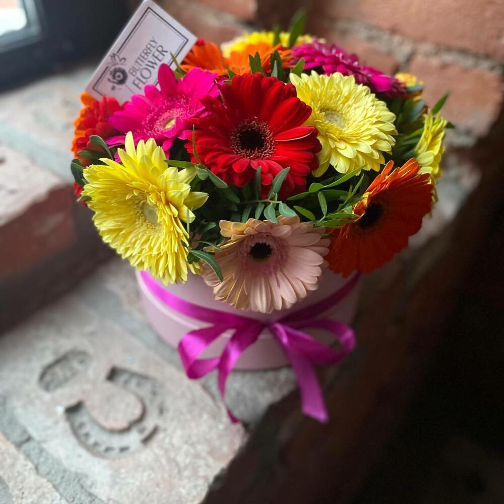 Букет из 17 разноцветных гербер и зелени в дизайнерской коробке 