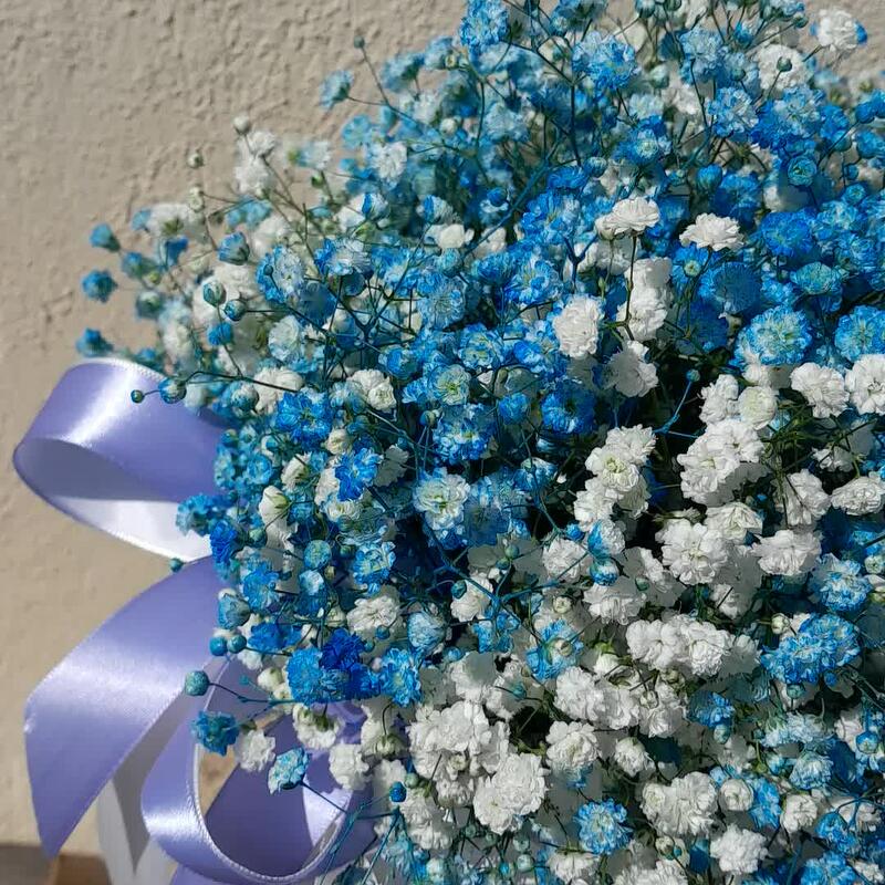 Композиция из гипсофилы 