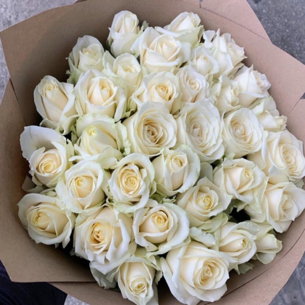 35 свежих роз Аваланш