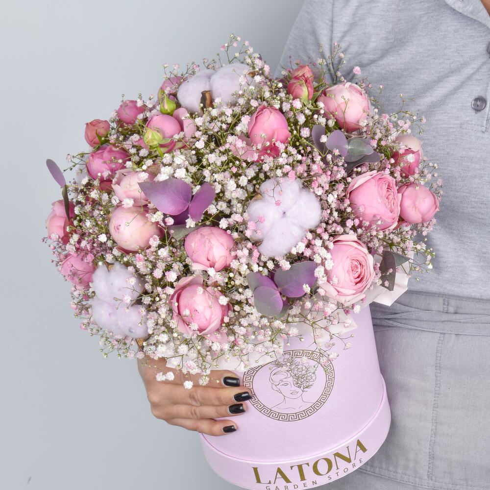 Гипсафила с Силва Пинк