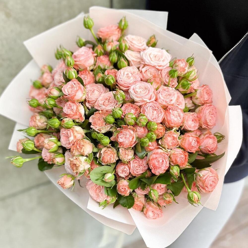 Have a Nice Spray Rose