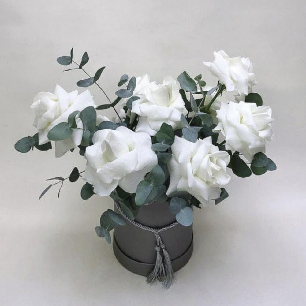 Коробка viver 11